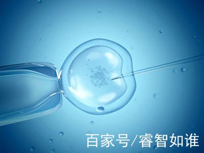 试管代孕费用多少生殖中心
